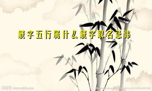 觥字五行属什么觥字取名忌讳