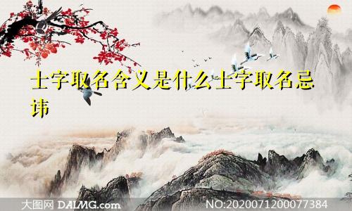 士字取名含义是什么士字取名忌讳