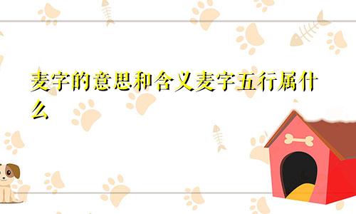 麦字的意思和含义麦字五行属什么