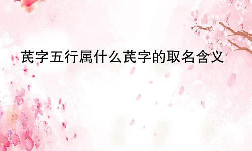 芪字五行属什么芪字的取名含义