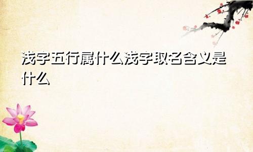 浅字五行属什么浅字取名含义是什么