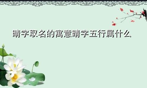 晴字取名的寓意晴字五行属什么