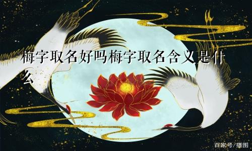梅字取名好吗梅字取名含义是什么