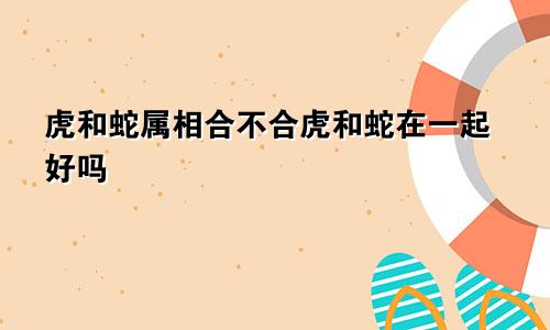 虎和蛇属相合不合虎和蛇在一起好吗