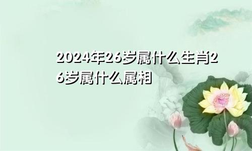 2024年26岁属什么生肖26岁属什么属相