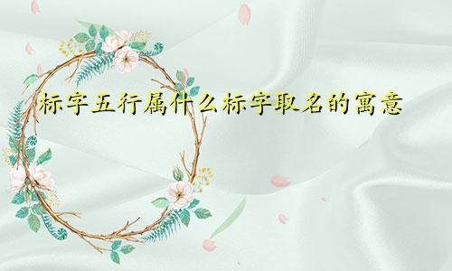 标字五行属什么标字取名的寓意