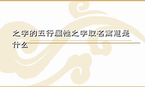 之字的五行属性之字取名寓意是什么