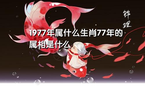 1977年属什么生肖77年的属相是什么