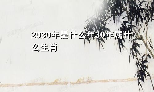 2030年是什么年30年属什么生肖