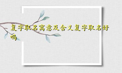复字取名寓意及含义复字取名好吗