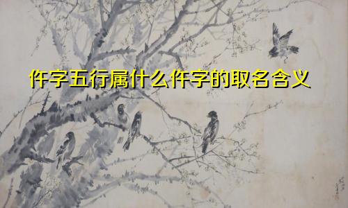 仵字五行属什么仵字的取名含义