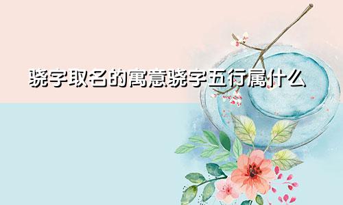 骁字取名的寓意骁字五行属什么