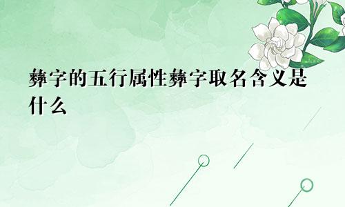 彝字的五行属性彝字取名含义是什么
