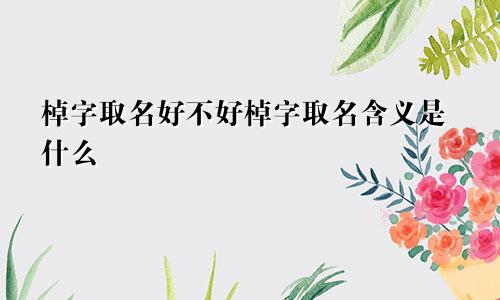 棹字取名好不好棹字取名含义是什么