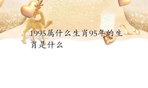 1995属什么生肖95年的生肖是什么