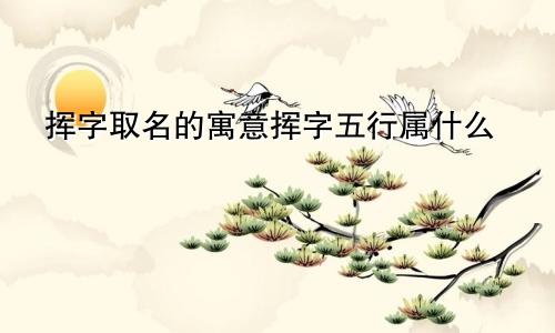 挥字取名的寓意挥字五行属什么