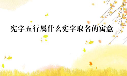 宪字五行属什么宪字取名的寓意