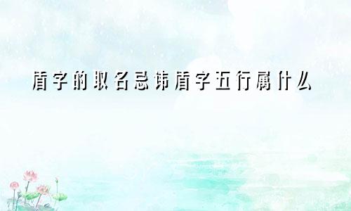 盾字的取名忌讳盾字五行属什么