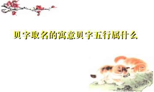 贝字取名的寓意贝字五行属什么