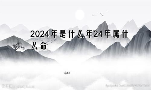 2024年是什么年24年属什么命