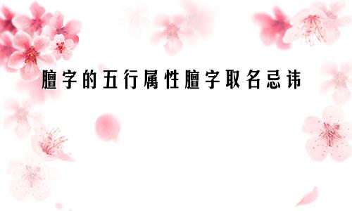 膻字的五行属性膻字取名忌讳
