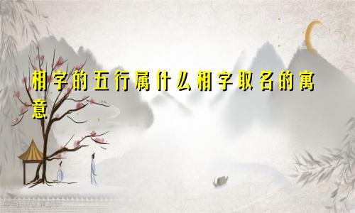 相字的五行属什么相字取名的寓意