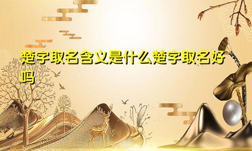 楚字取名含义是什么楚字取名好吗