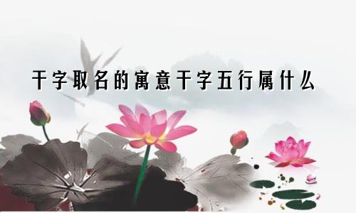 干字取名的寓意干字五行属什么