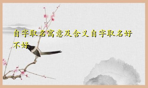 自字取名寓意及含义自字取名好不好