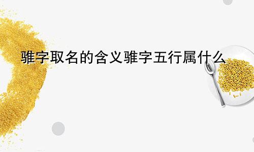 骓字取名的含义骓字五行属什么