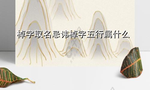 棹字取名忌讳棹字五行属什么