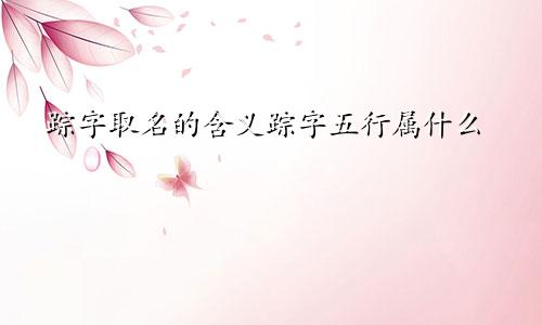 踪字取名的含义踪字五行属什么