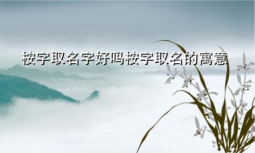 桉字取名字好吗桉字取名的寓意