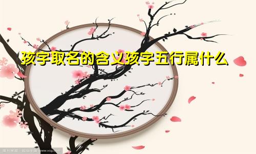 孩字取名的含义孩字五行属什么