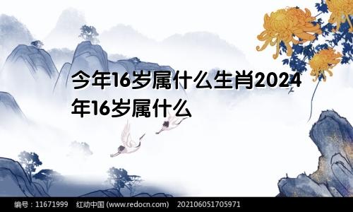 今年16岁属什么生肖2024年16岁属什么