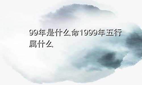 99年是什么命1999年五行属什么