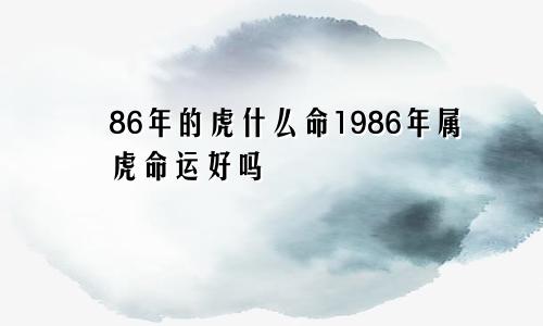 86年的虎什么命1986年属虎命运好吗