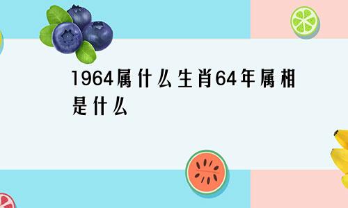 1964属什么生肖64年属相是什么