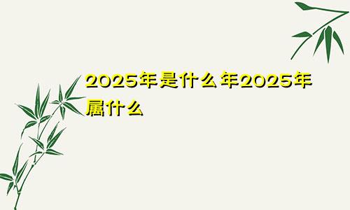 2025年是什么年2025年属什么