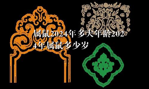 属鼠2024年多大年龄2024年属鼠多少岁