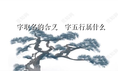 玥字取名的含义玥字五行属什么