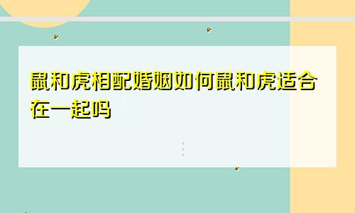 鼠和虎相配婚姻如何鼠和虎适合在一起吗