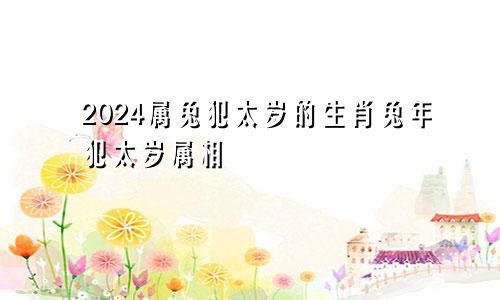 2024属兔犯太岁的生肖兔年犯太岁属相