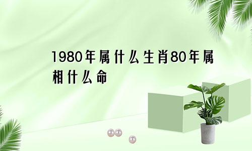 1980年属什么生肖80年属相什么命