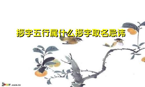 拶字五行属什么拶字取名忌讳