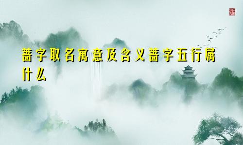 蔷字取名寓意及含义蔷字五行属什么