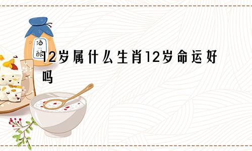 12岁属什么生肖12岁命运好吗