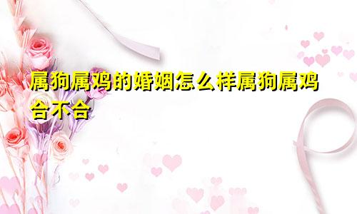 属狗属鸡的婚姻怎么样属狗属鸡合不合