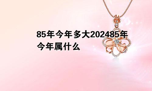 85年今年多大202485年今年属什么