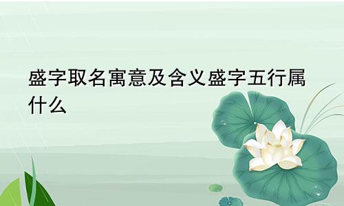 盛字取名寓意及含义盛字五行属什么